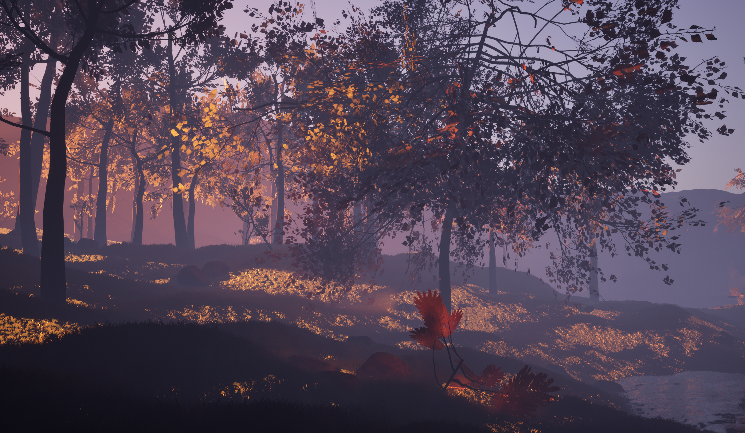 Procedurally generated biome environment