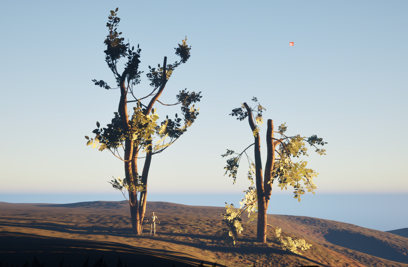 Procedurally generated biome environment