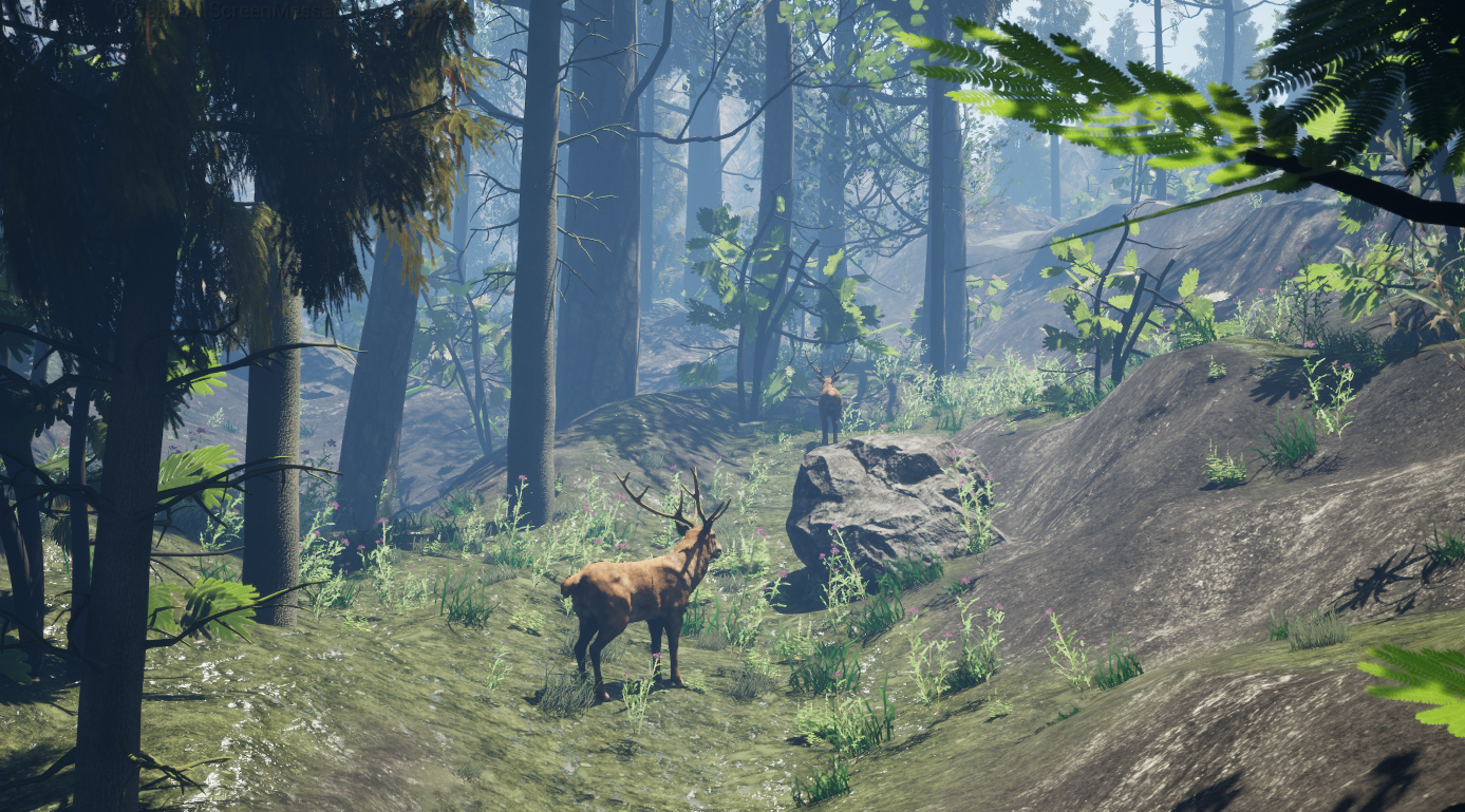PCG Biome