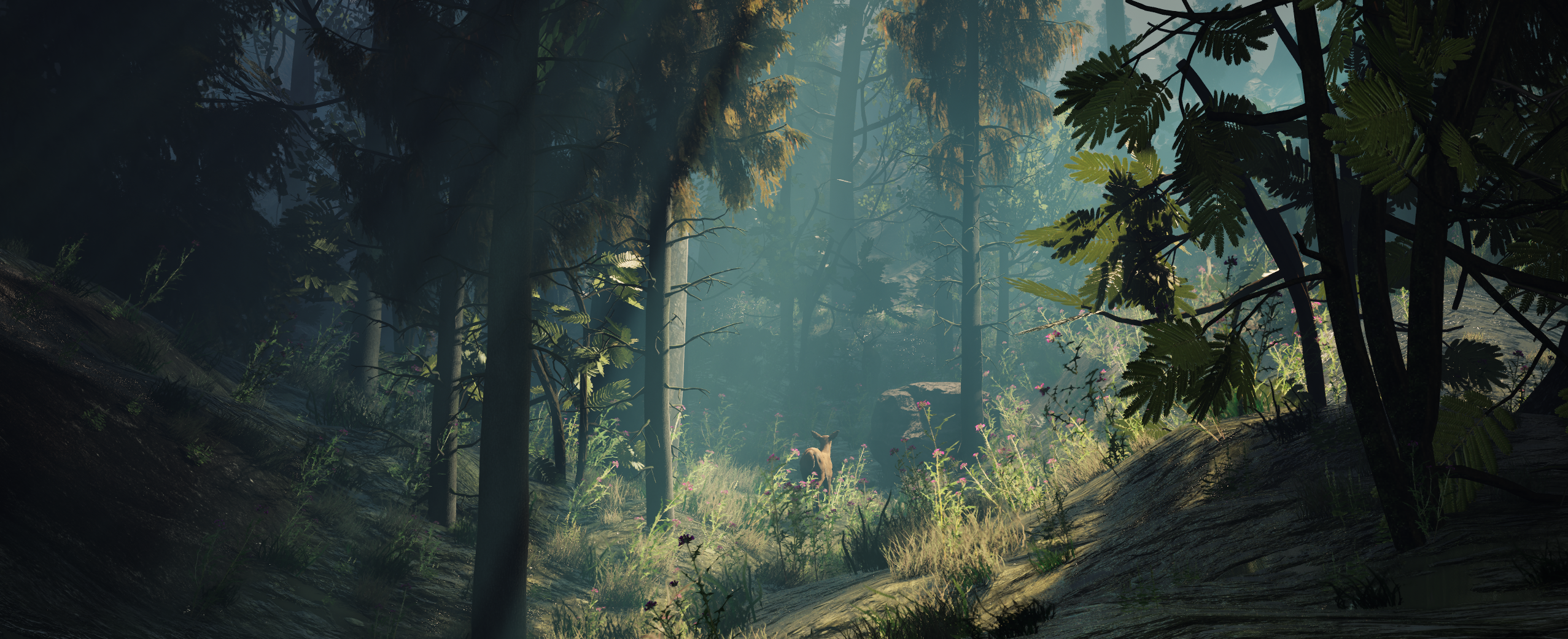 Procedural Forest Biome
