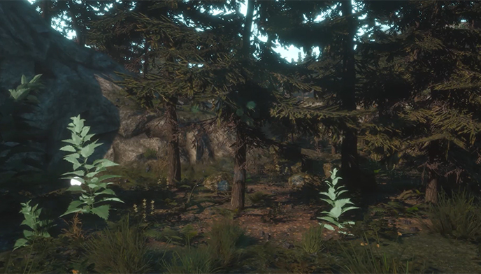 Unreal Engine Environment